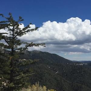 Meet your Posher, Lina